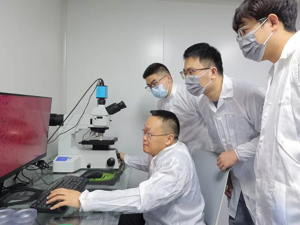 R&D Team
